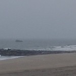 2013plunge (13)